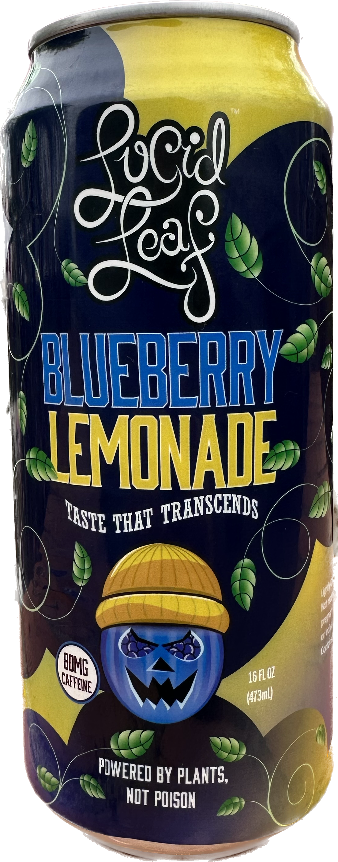 Blueberry Lemonade (24 Pack)